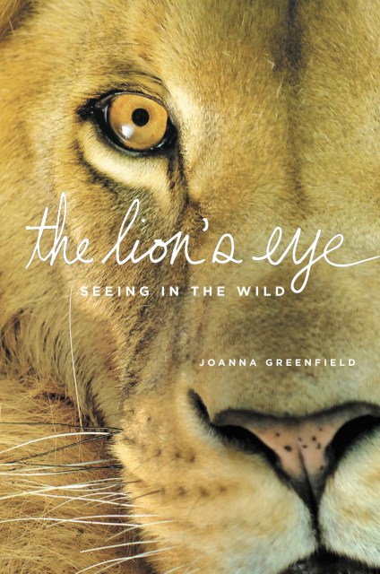 The Lion’s Eye