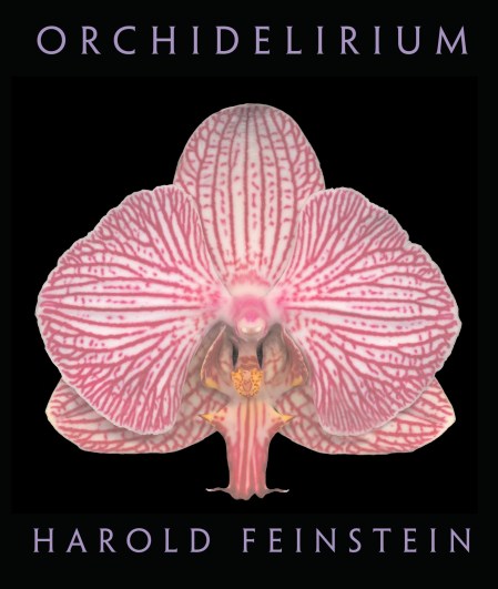 Orchidelirium