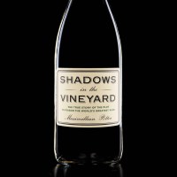 Shadows in the Vineyard