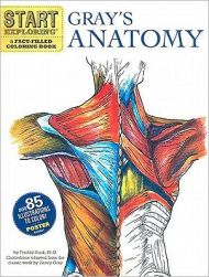 Start Exploring: Gray’s Anatomy