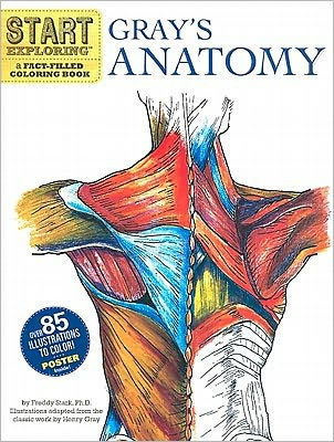 Start Exploring: Gray’s Anatomy