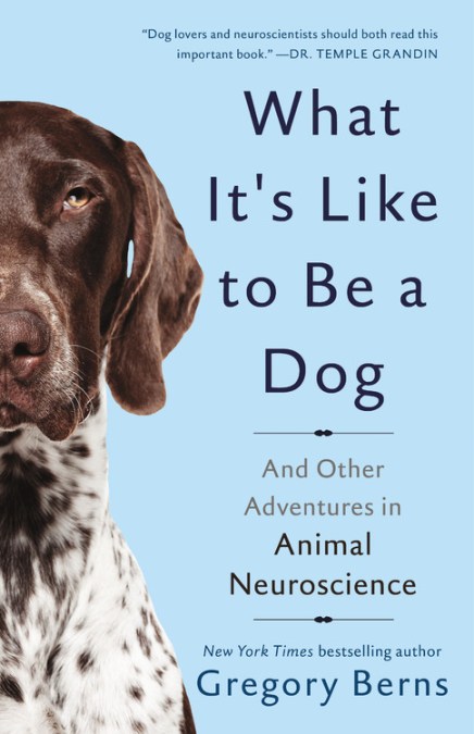 What It’s Like to Be a Dog