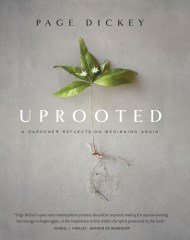Uprooted