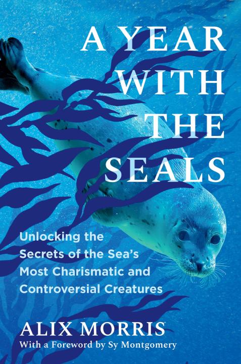 A Year with the Seals