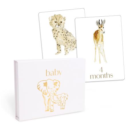 Baby: First Year Milestone Cards