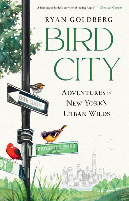 Bird City