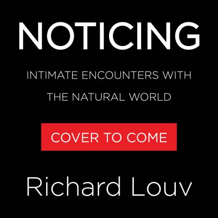 Noticing