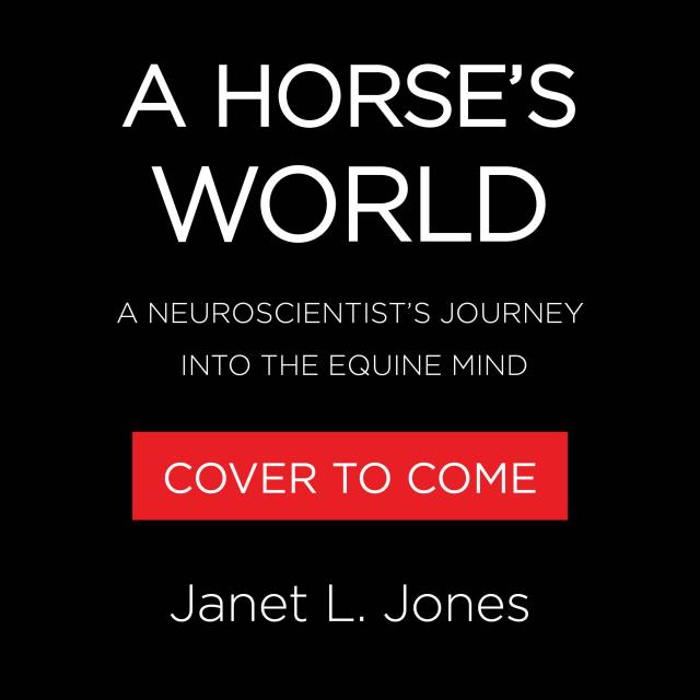 A Horse’s World