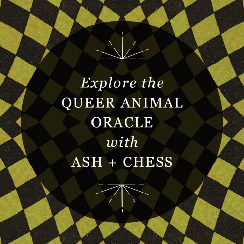 Explore the Queer Animal Oracle with Ash + Chess